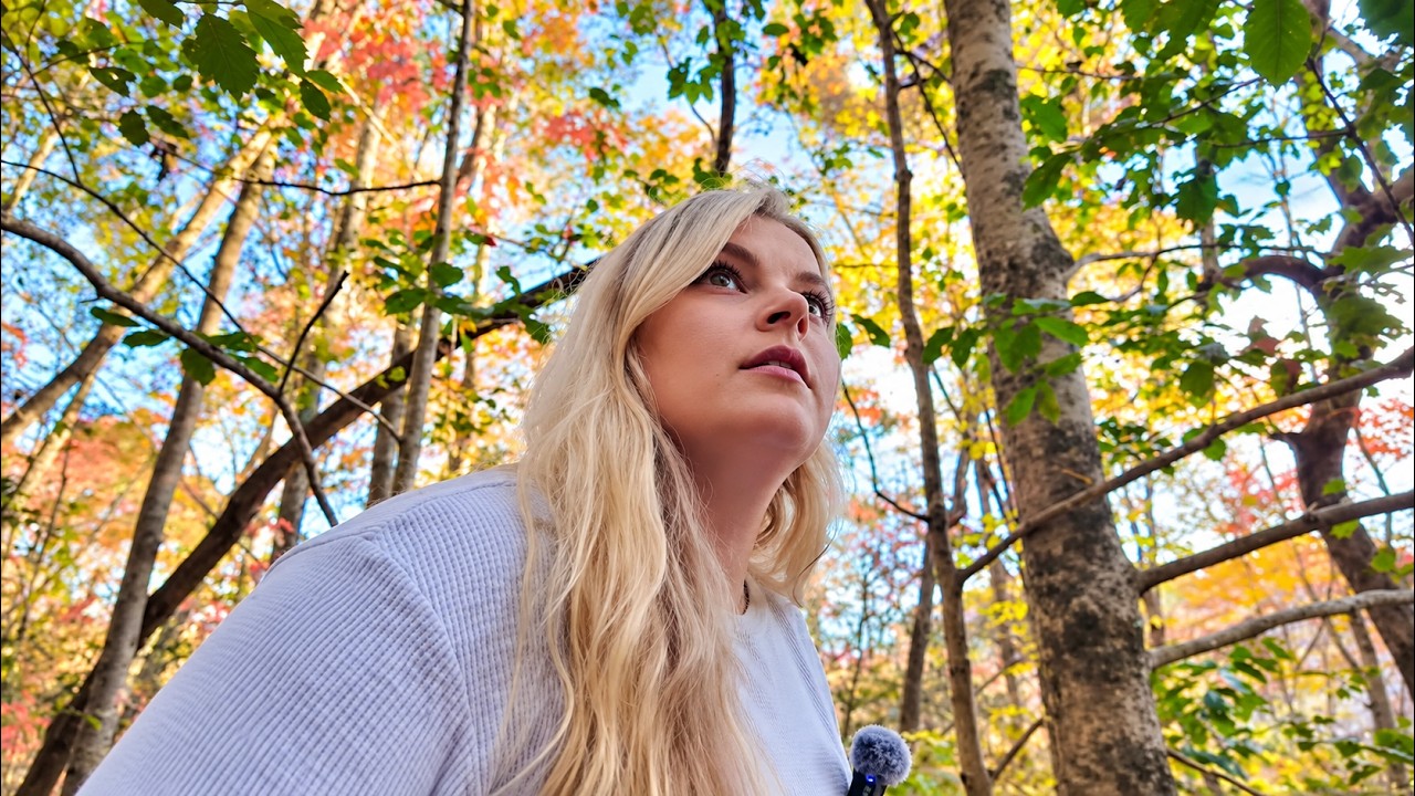 Bree on a fall walk in the woods